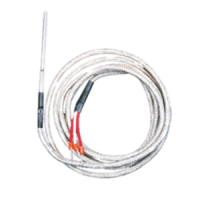 Probe PT100 for CRT-05 and CRT-06 shielded cables | EASI-Spare