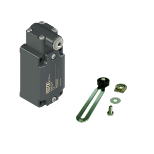 Mechanical limit switches FM