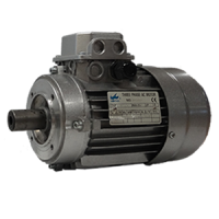 MS Motor ALU IP55 220/380 1000 or 1500RPM B14 or B5