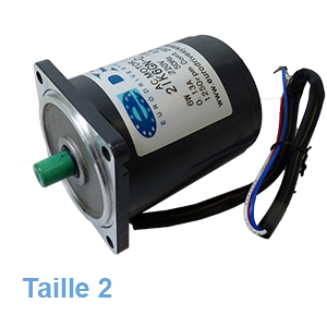 Compact electric motor ZD type 2 power 6W | EASI-Spare