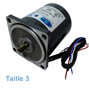 Compact electric motor ZD type 3 power 15-25W | EASI-Spare