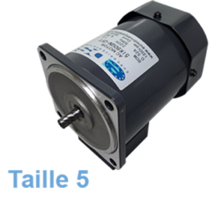 Compact electric motor ZD type 5 power 15-25W | EASI-Spare