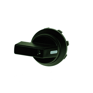Handles for switch CS20A