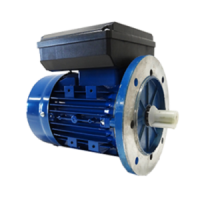 Single-phase electric motor 220V 2 capacitors B35