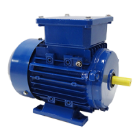 Electric motor 220V Single-phase 2 capacitors B3