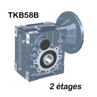 Worm and wheel gear units 2/3 stages | EASI-Spare