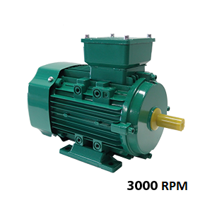 3-phase motor 220/380V 3000 rev