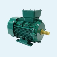 4.1 220/380V Three-phase electrical motor
