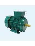 4.1 220/380V Three-phase electrical motor