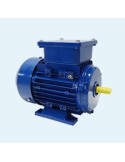 4.2 220V Single-phase electrical motor